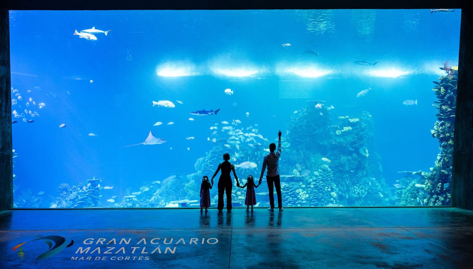 Familia frente al tanque principal del Gran Acuario de Mazatlán.